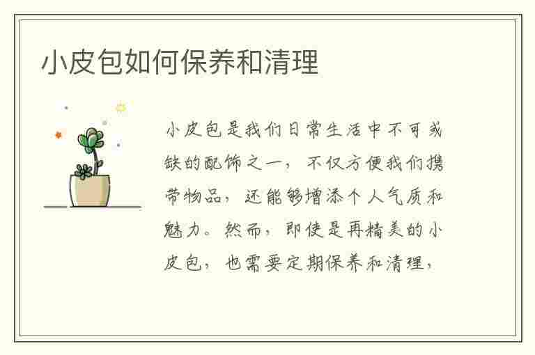 小皮包如何保养和清理(小皮包如何保养和清理皮肤)